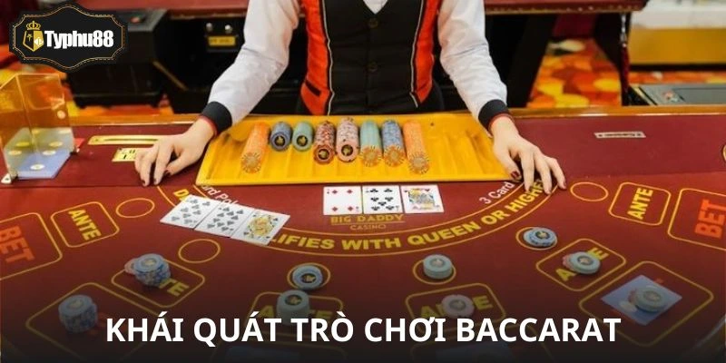 Khi newbie chơi Baccarat và cái kết không như mơ nếu lơ là