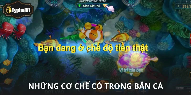 Hũ nổ ngẫu nhiên, không ai biết trước thời điểm