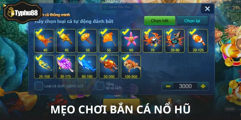 Những chiêu “giấu kỹ” của dân săn hũ lâu năm