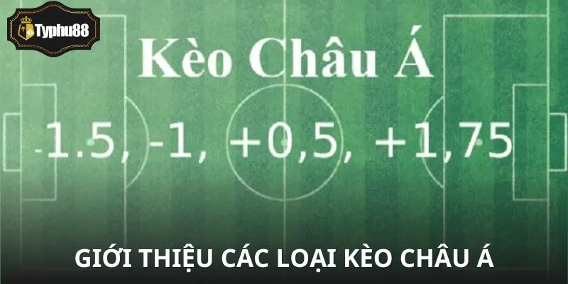 Mẹo phân biệt các loại kèo châu Á dễ nhầm lẫn