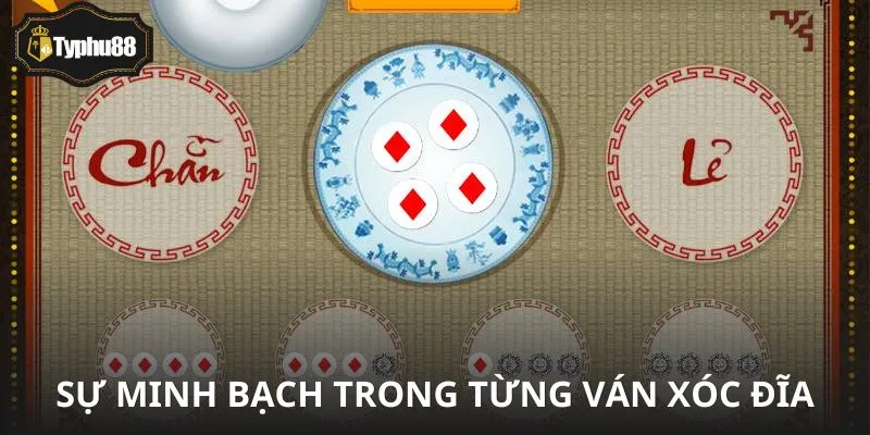 Bí quyết giúp sảnh xóc đĩa duy trì sự minh bạch tuyệt đối